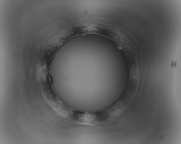 X0000111950223200907271445