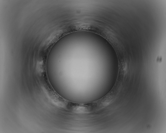 X0000111950224200907271445