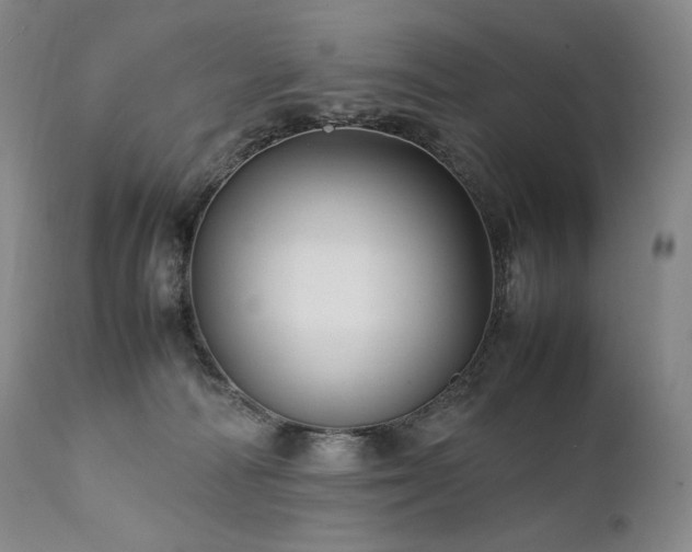 X0000111950226200907271445