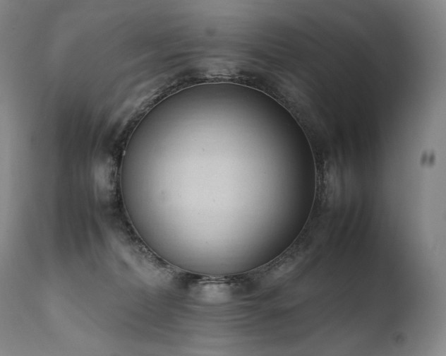 X0000111950228200907271445