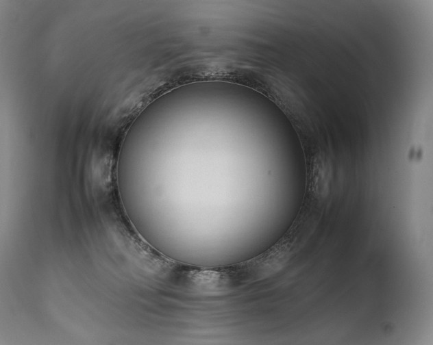 X0000111950230200907271445