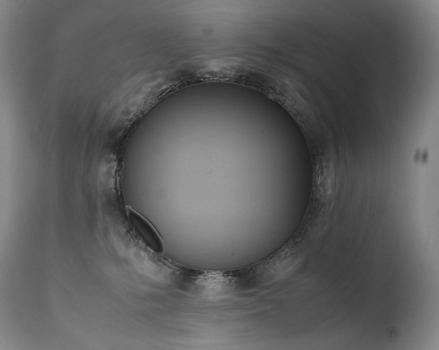 X0000111950231200907271445