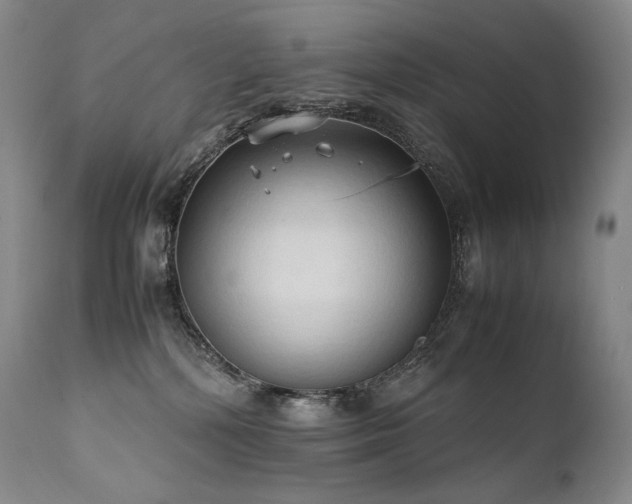 X0000111950232200907271445