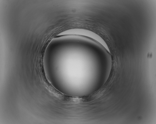 X0000111950233200907271445