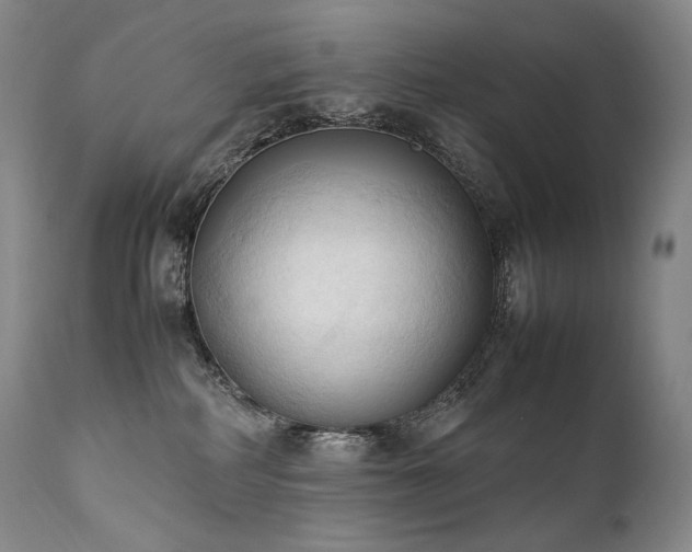 X0000111950234200907271445