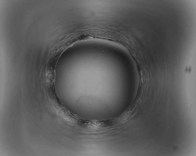 X0000111950235200907271445