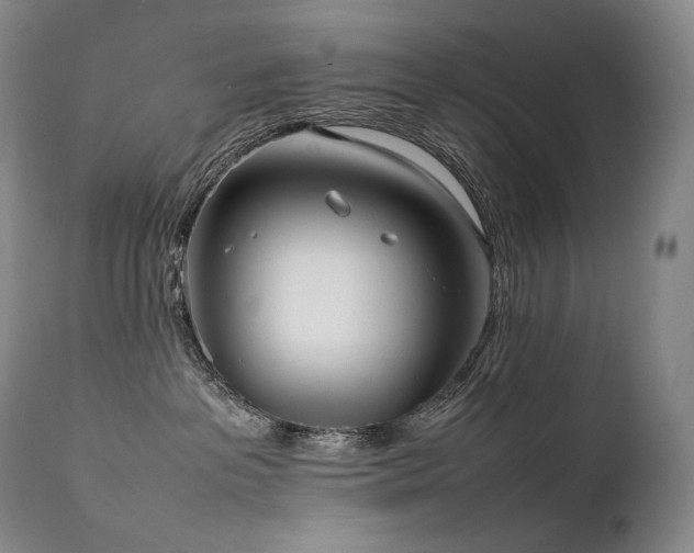 X0000111950237200907271444