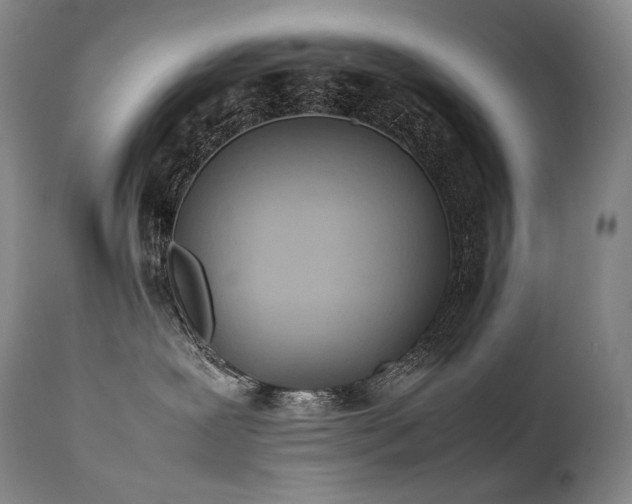 X0000111950239200907271444