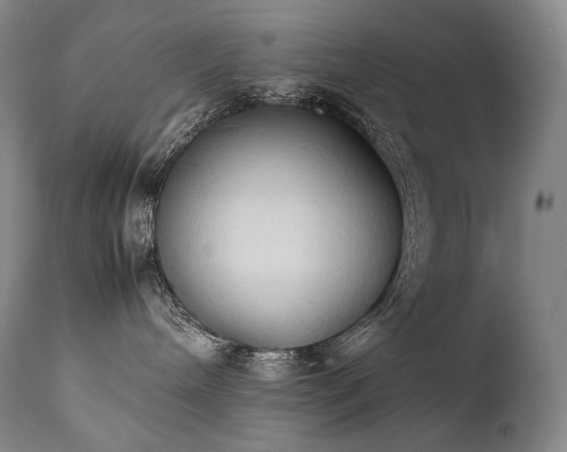 X0000111950240200907271444