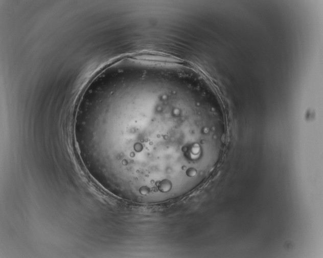 X0000111950241200907271443