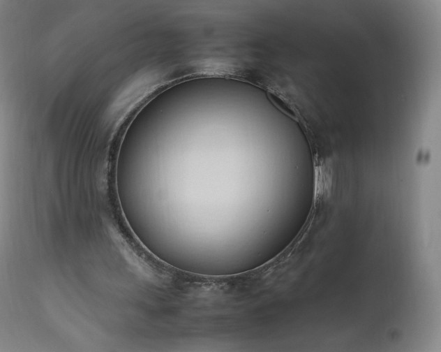 X0000111950243200907271444