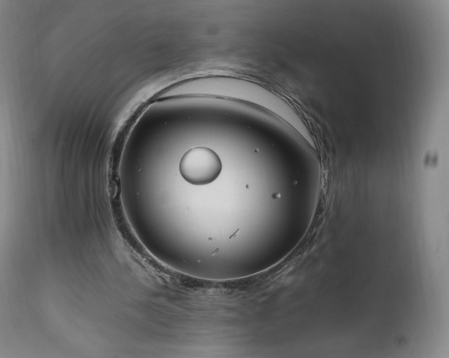 X0000111950244200907271444