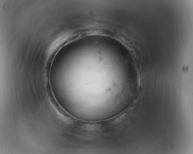 X0000111950245200907271444