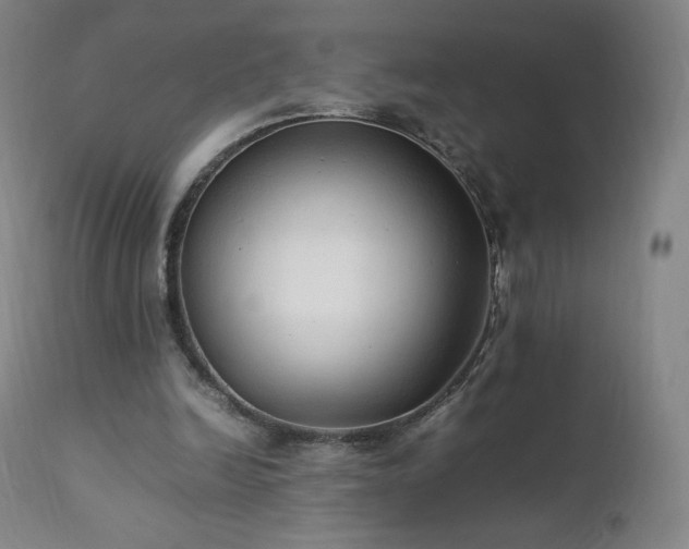 X0000111950246200907271444