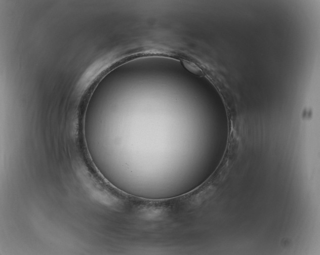 X0000111950247200907271444