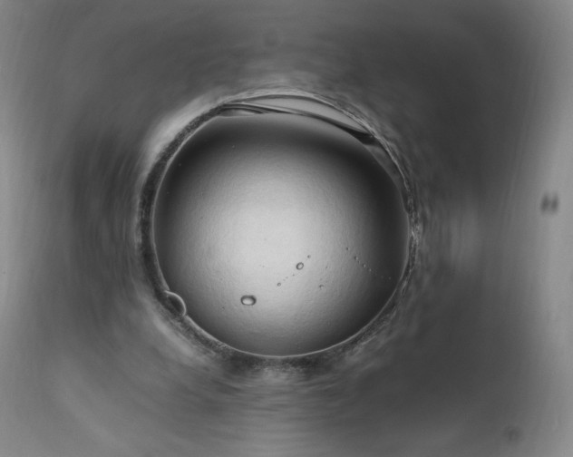 X0000111950248200907271444