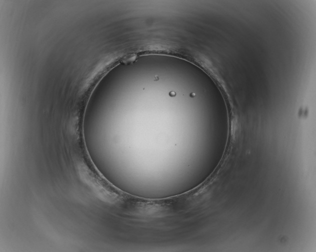 X0000111950249200907271444