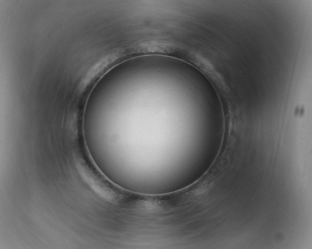 X0000111950250200907271444