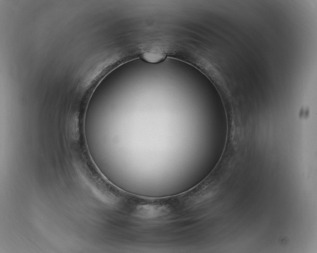 X0000111950251200907271444