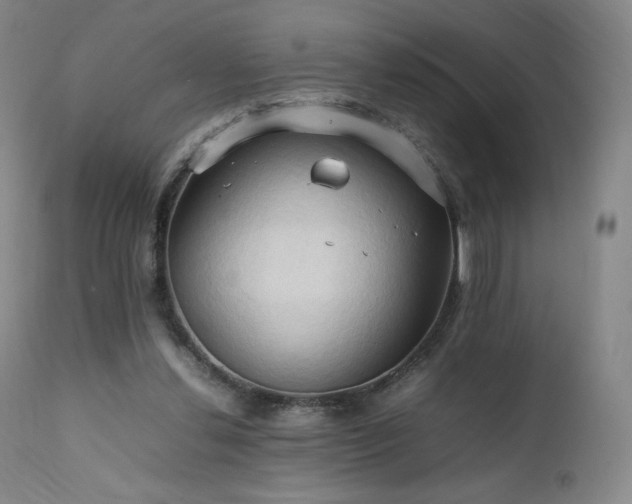 X0000111950252200907271444