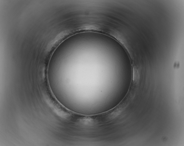 X0000111950253200907271444