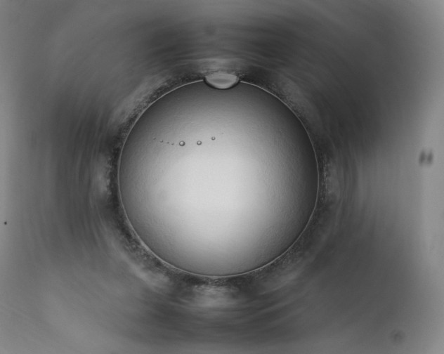 X0000111950255200907271444
