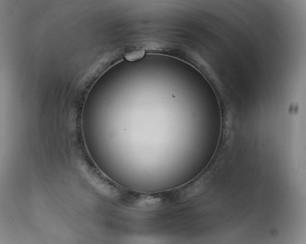 X0000111950257200907271444