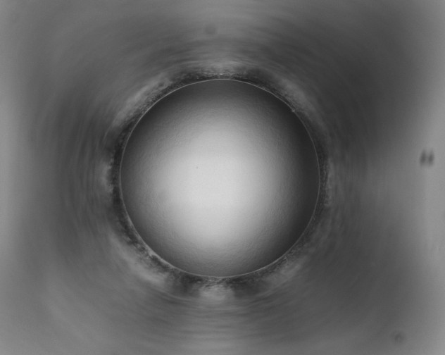 X0000111950258200907271444
