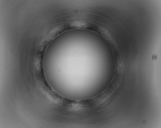 X0000111950259200907271444