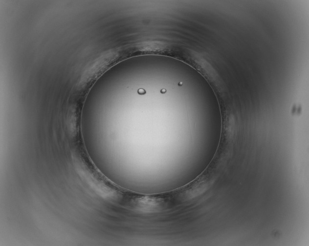 X0000111950261200907271444