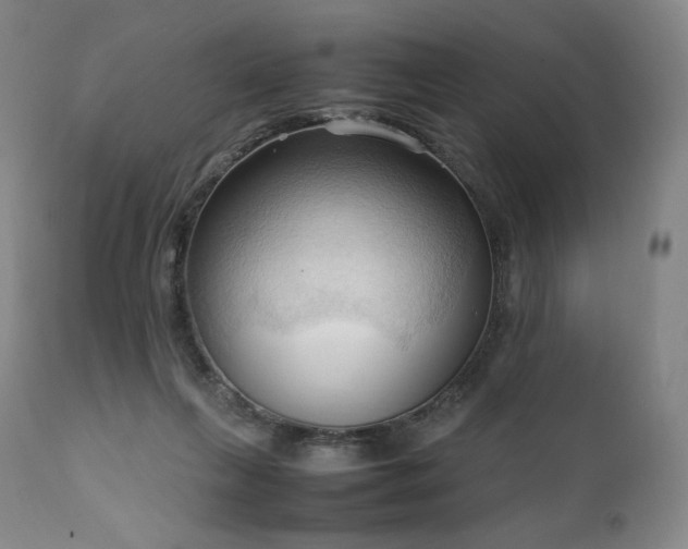 X0000111950263200907271444
