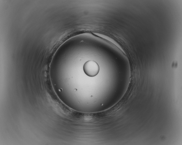 X0000111950264200907271444