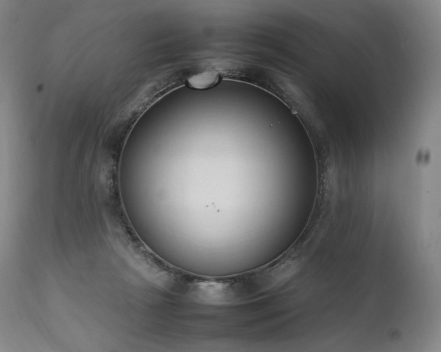 X0000111950265200907271444