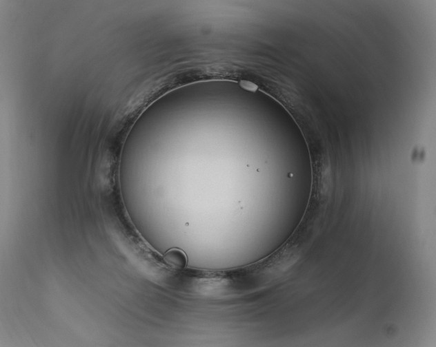X0000111950266200907271444
