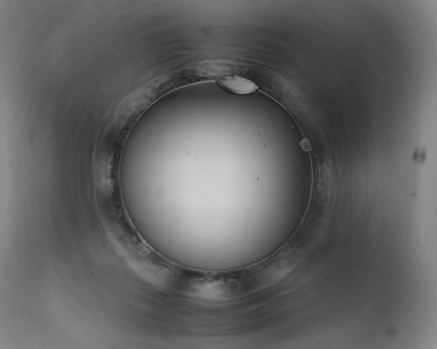 X0000111950267200907271444
