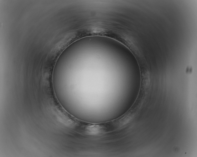 X0000111950269200907271444