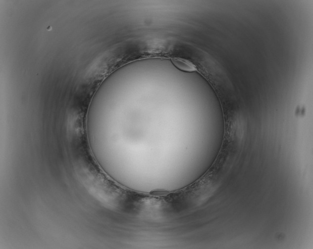 X0000111950272200907271444
