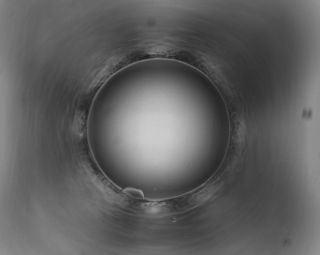 X0000111950273200907271444