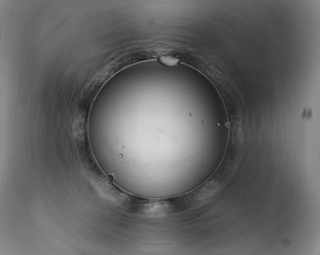 X0000111950274200907271444