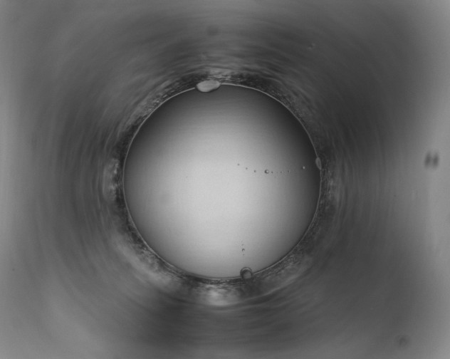 X0000111950275200907271444
