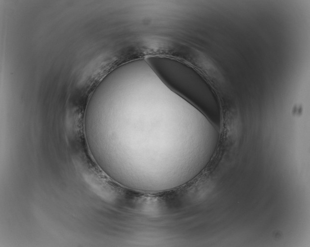 X0000111950276200907271444