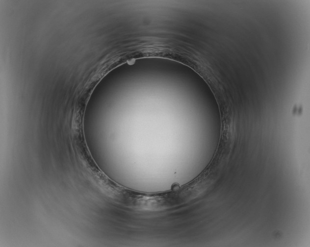 X0000111950277200907271444