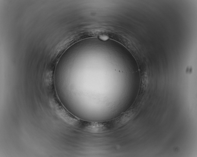 X0000111950278200907271444