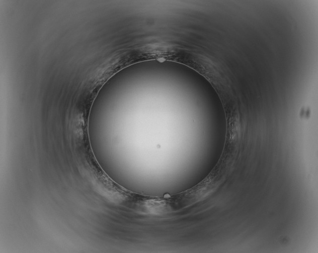 X0000111950279200907271444