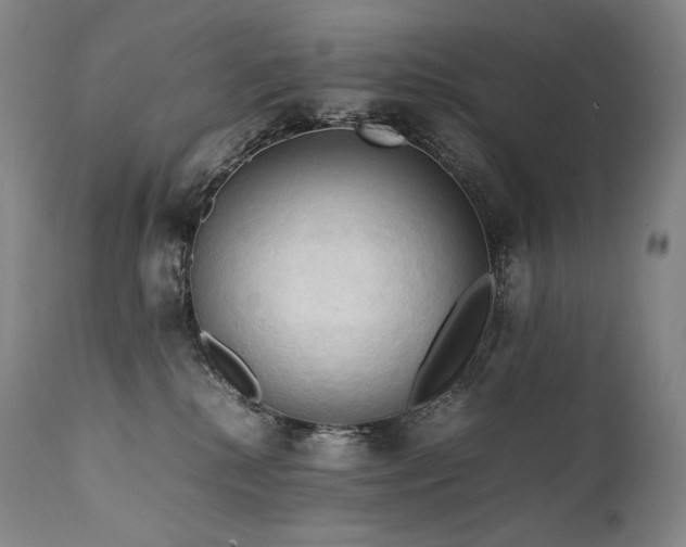 X0000111950280200907271444