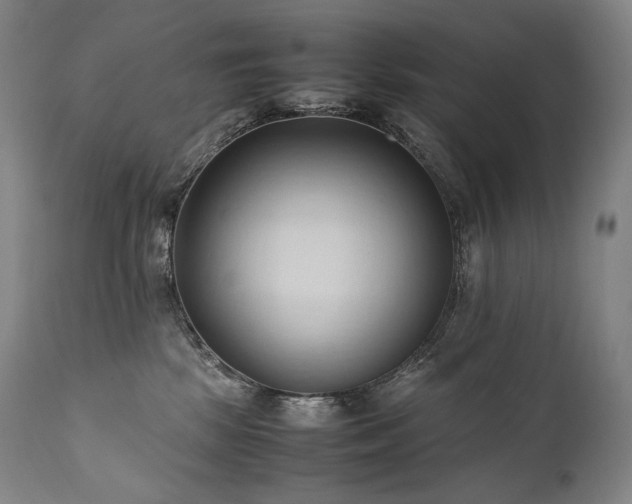 X0000111950281200907271444