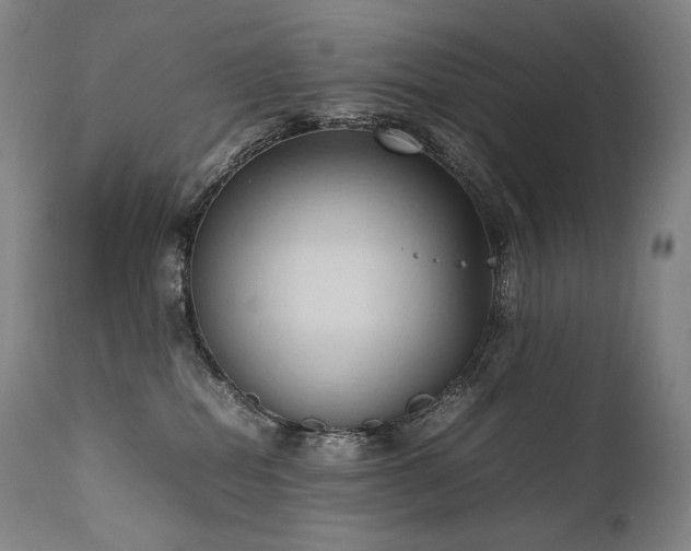 X0000111950282200907271444