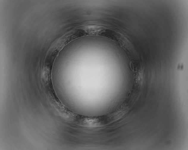 X0000111950283200907271444