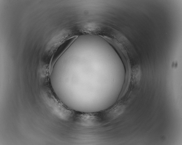 X0000111950284200907271444
