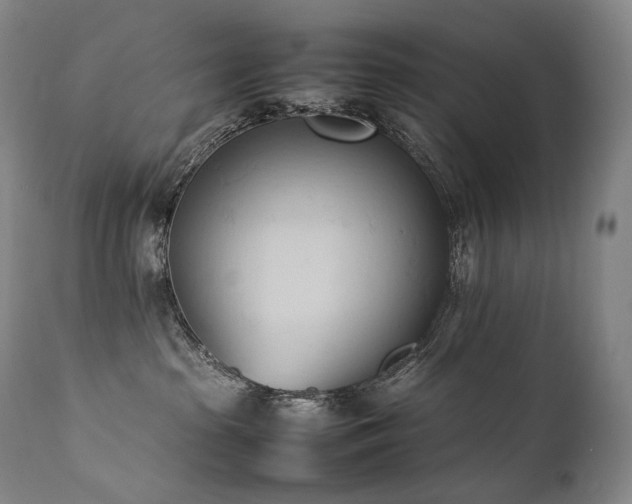 X0000111950285200907271444